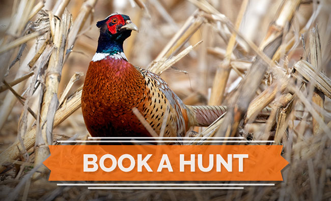 Book A Hunt Book A Hunt With Double K Guide Service